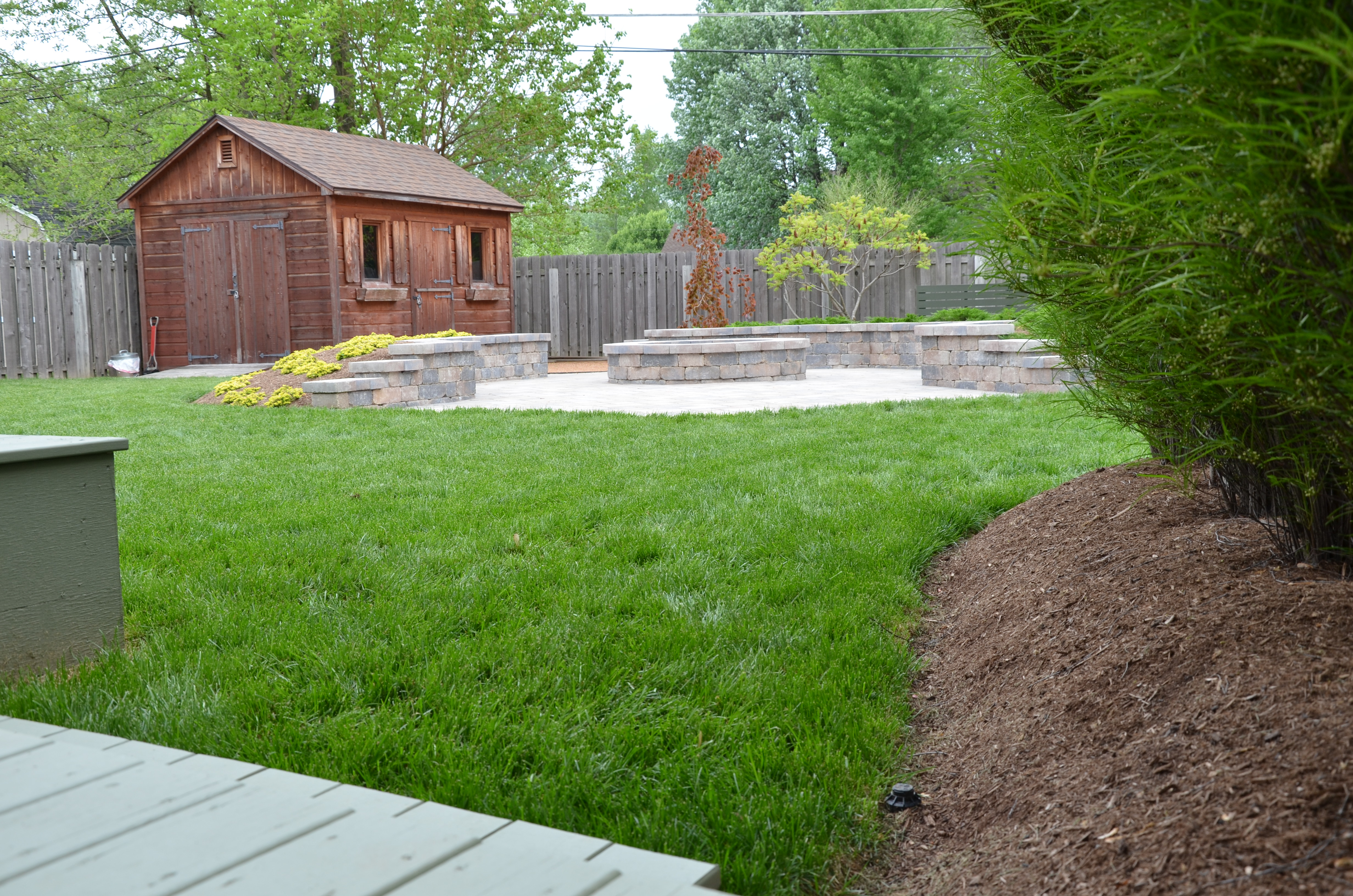 grassy lawn